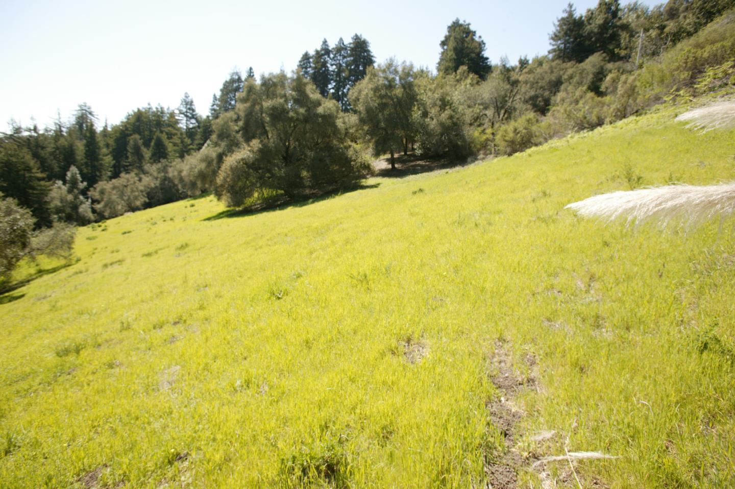 Detail Gallery Image 10 of 18 For 255 Jupiter Ter, Santa Cruz,  CA 95065 - 2 Beds | 2 Baths