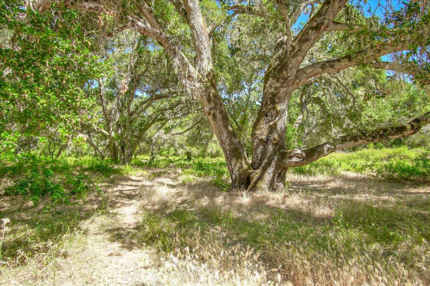 Detail Gallery Image 7 of 23 For 36000 E Carmel Valley Rd, Carmel Valley,  CA 93924 - – Beds | – Baths