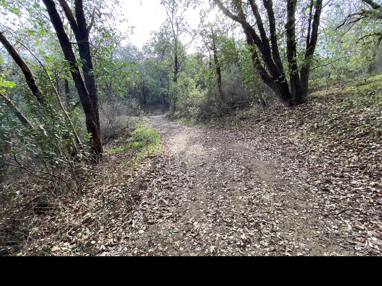 Detail Gallery Image 1 of 1 For 0 Laurel Springs Rd, Carmel Valley,  CA 93924 - – Beds | – Baths