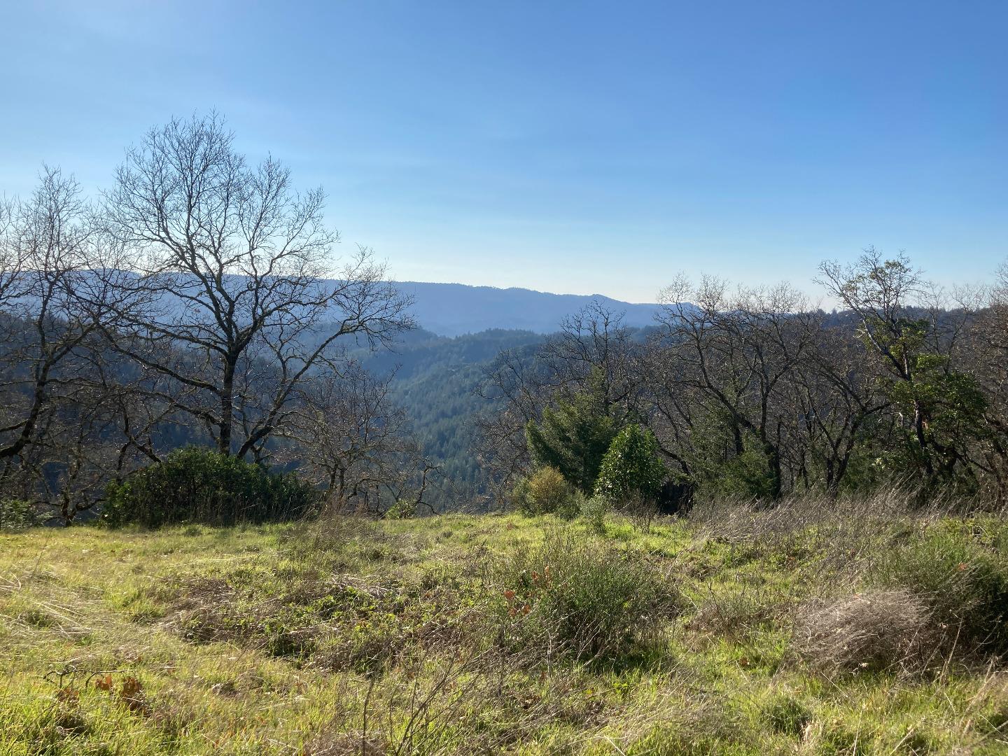 Detail Gallery Image 10 of 16 For 19089 Skyline Blvd, Los Gatos,  CA 95033 - – Beds | – Baths