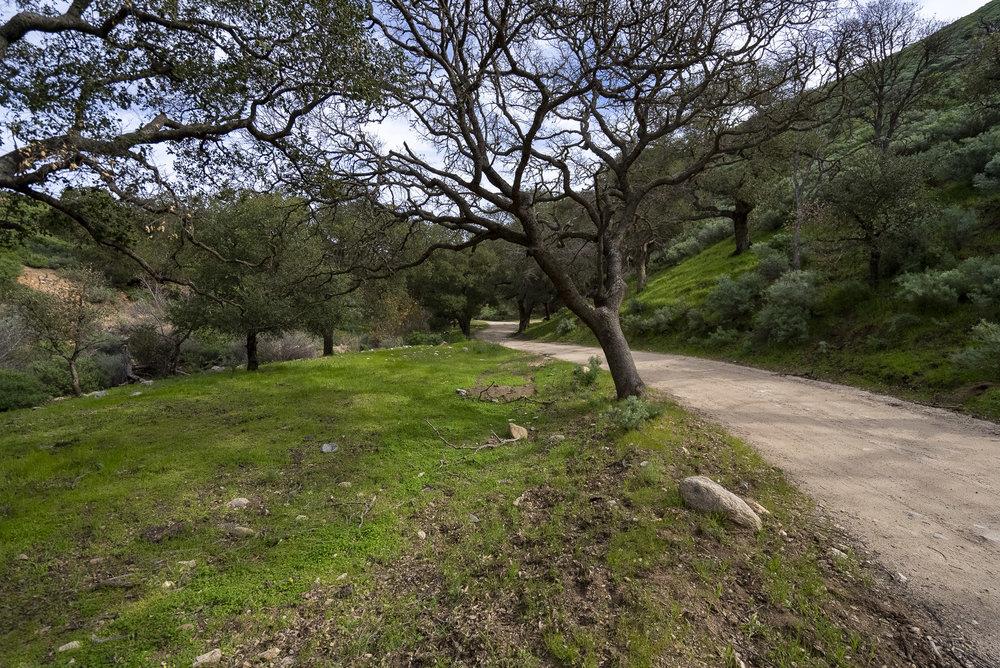 Detail Gallery Image 16 of 84 For 0 Bryant Canyon, Soledad,  CA 93960 - – Beds | – Baths