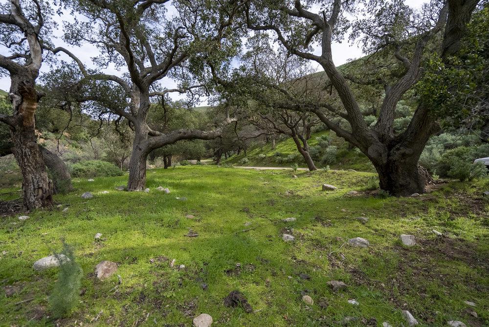 Detail Gallery Image 17 of 84 For 0 Bryant Canyon, Soledad,  CA 93960 - – Beds | – Baths
