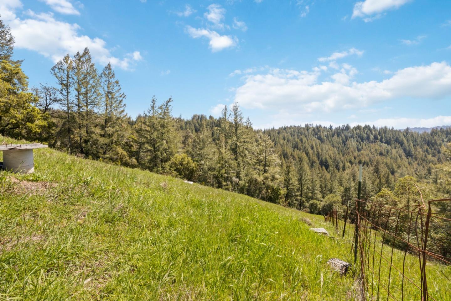 Detail Gallery Image 13 of 17 For 12 Doeg Rd, Boulder Creek,  CA 95006 - – Beds | – Baths