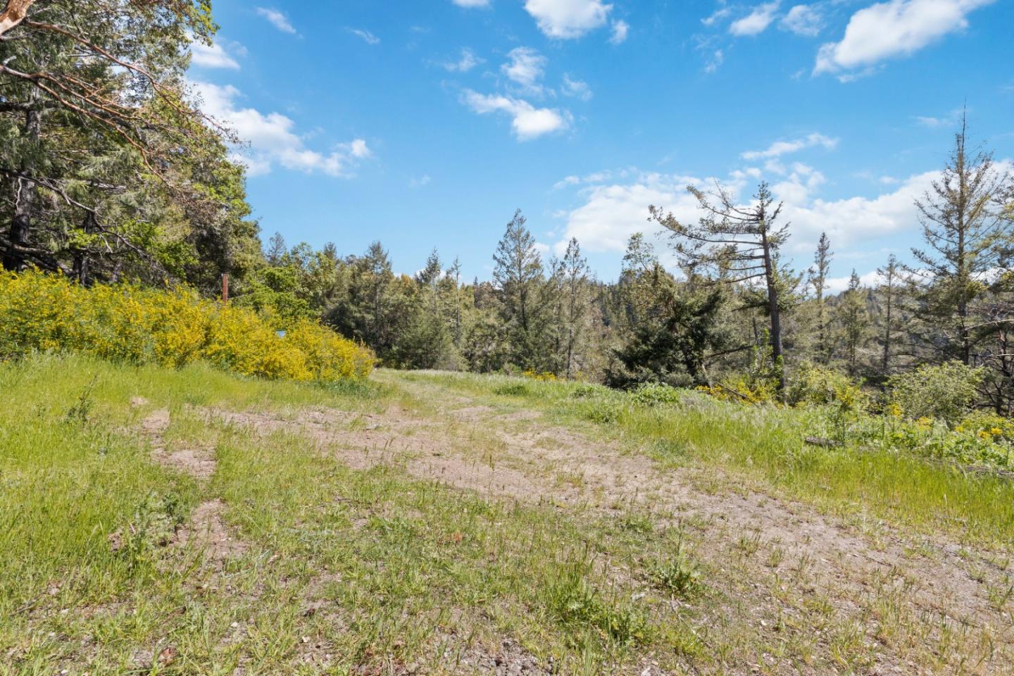 Detail Gallery Image 14 of 17 For 12 Doeg Rd, Boulder Creek,  CA 95006 - – Beds | – Baths