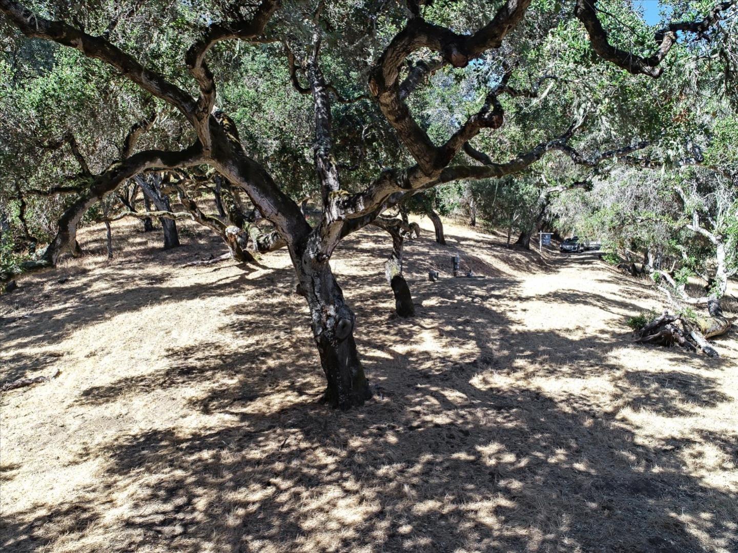 Detail Gallery Image 39 of 43 For 16 Sleepy Hollow Dr, Carmel Valley,  CA 93924 - – Beds | – Baths