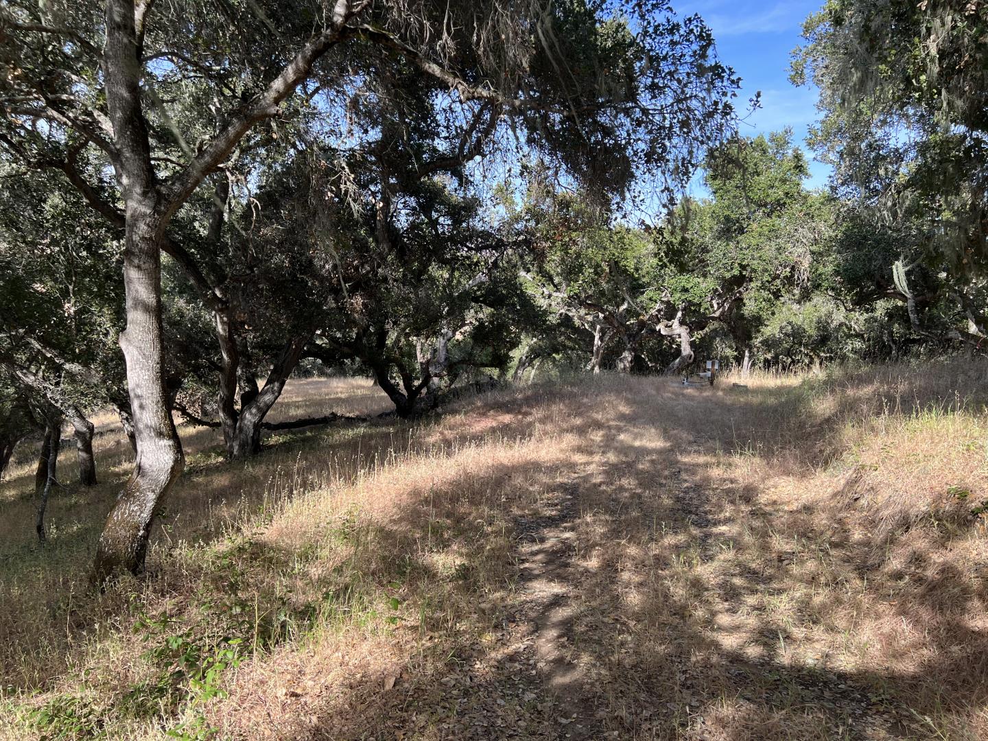 Detail Gallery Image 5 of 43 For 16 Sleepy Hollow Dr, Carmel Valley,  CA 93924 - – Beds | – Baths