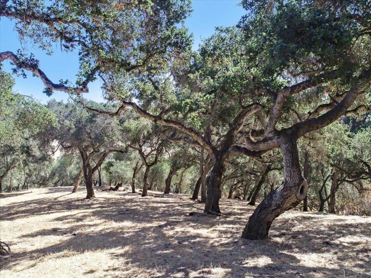Detail Gallery Image 7 of 43 For 16 Sleepy Hollow Dr, Carmel Valley,  CA 93924 - – Beds | – Baths