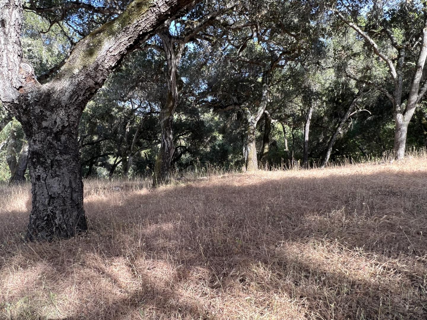 Detail Gallery Image 8 of 43 For 16 Sleepy Hollow Dr, Carmel Valley,  CA 93924 - – Beds | – Baths