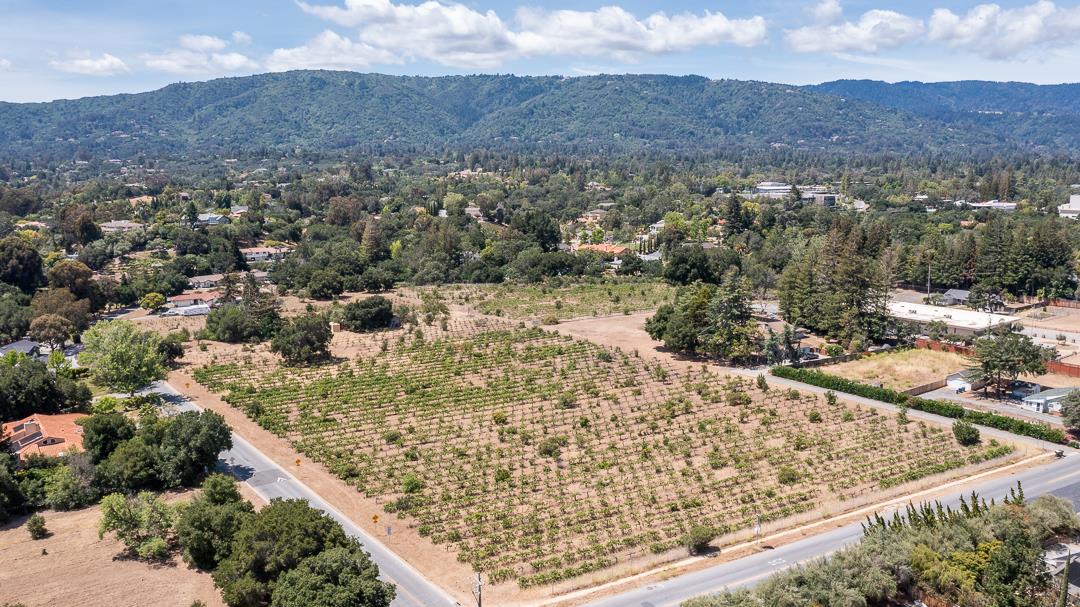 Rare opportunity for residential lot development or have your own Vineyard in beautiful Saratoga! This property has been in the family since 1902. Once in a lifetime opportunity! Land Offering includes (APN 397-01-071) approximately 11.83 acres of flat land. The General Plan for this property is for 20,000sf proposed lots. Offering includes a parcel beginning at the corner of Chester Avenue and Allendale Avenue. Portions of the property offer excellent hillside views and the surrounding neighborhood is comprised of generously built estate homes This material should not be relied upon for Buyers' intended use. The property has not been surveyed. Buyer to verify current zoning. Future development or use of the property will likely require changes including but not limited to zoning, mapping, and general plan change.