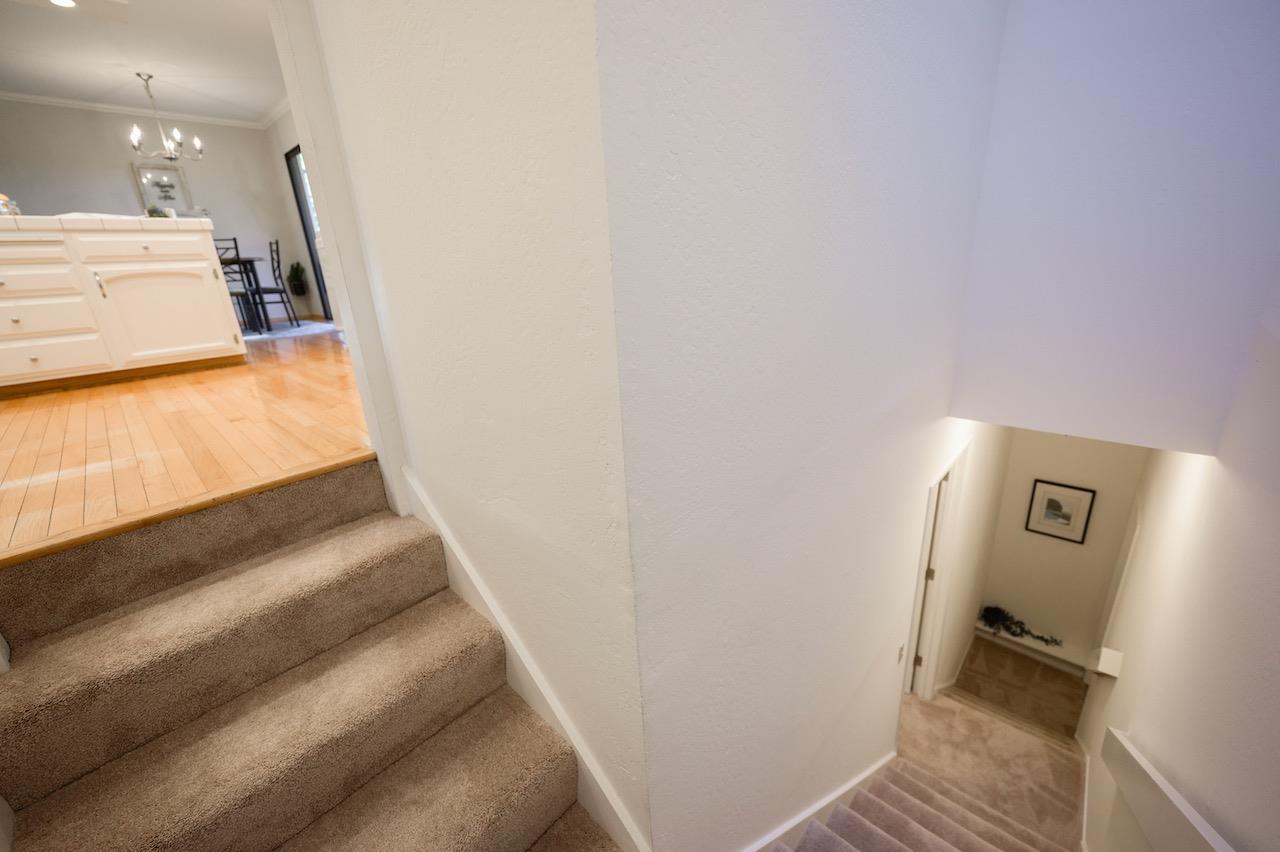 Detail Gallery Image 75 of 113 For 269 Spreading Oak Dr, Scotts Valley,  CA 95066 - 4 Beds | 2/2 Baths