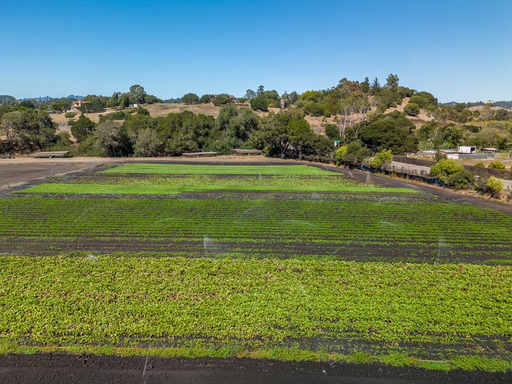 Detail Gallery Image 2 of 15 For 48 Dunbarton Rd, Aromas,  CA 95004 - – Beds | – Baths