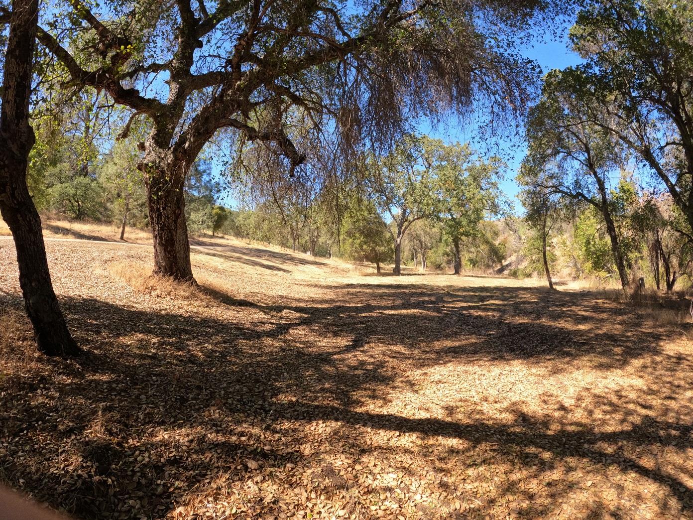 38457 AV Ranch Road, Other - See Remarks, California 93928, ,Land,For Sale,38457 AV Ranch Road,ML81909269