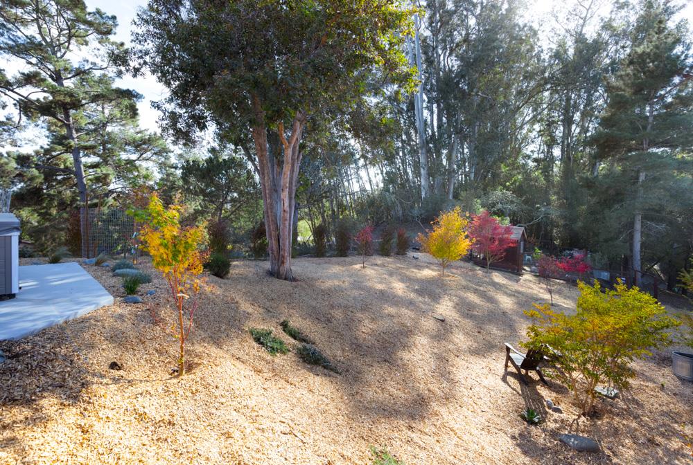 Detail Gallery Image 27 of 31 For 390 Brooktree Ranch Rd, Aptos,  CA 95003 - 3 Beds | 2/1 Baths