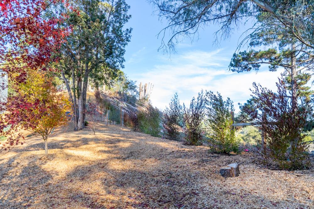 Detail Gallery Image 29 of 31 For 390 Brooktree Ranch Rd, Aptos,  CA 95003 - 3 Beds | 2/1 Baths