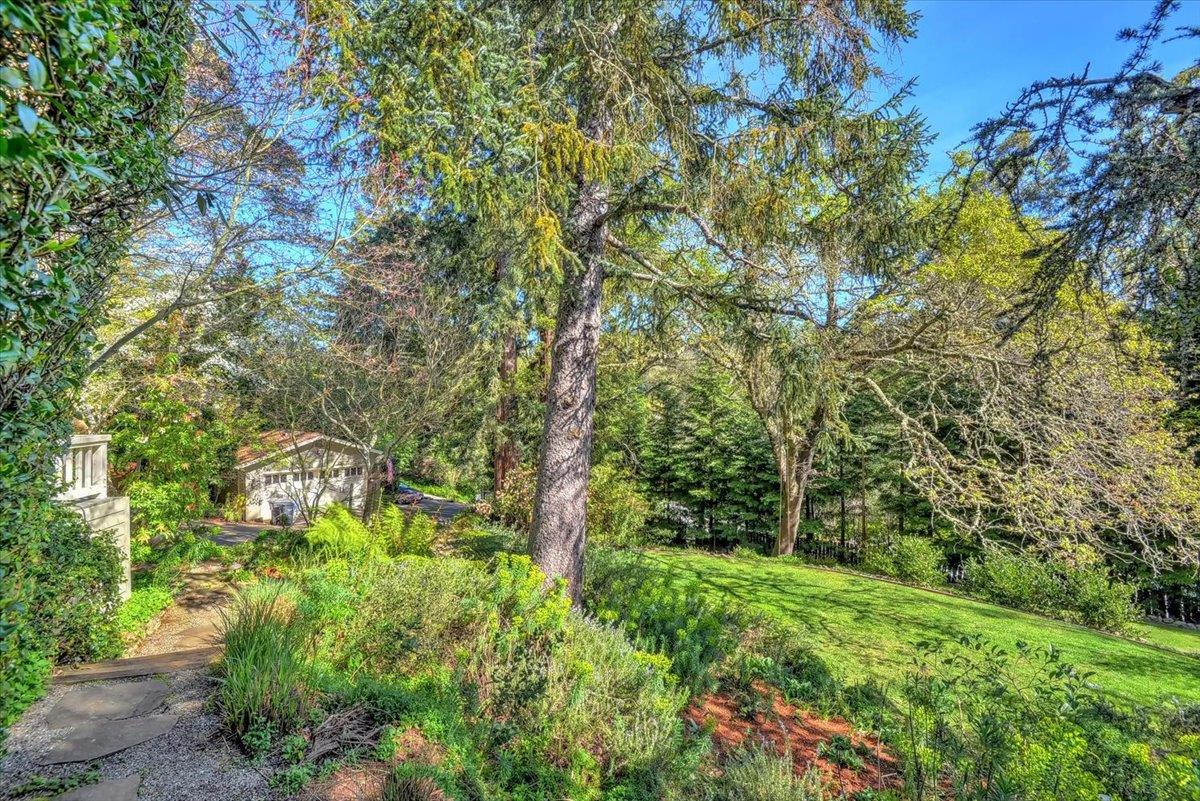 Detail Gallery Image 50 of 66 For 1077 Portola Rd, Portola Valley,  CA 94028 - 5 Beds | 3/1 Baths