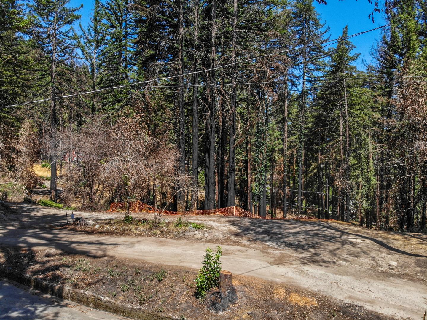 Detail Gallery Image 5 of 14 For 111 Aspen Ln, Boulder Creek,  CA 95006 - – Beds | – Baths