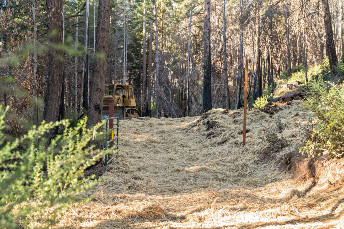 Detail Gallery Image 15 of 25 For Lot 06 Branson Ranch Rd, Boulder Creek,  CA 95006 - – Beds | – Baths