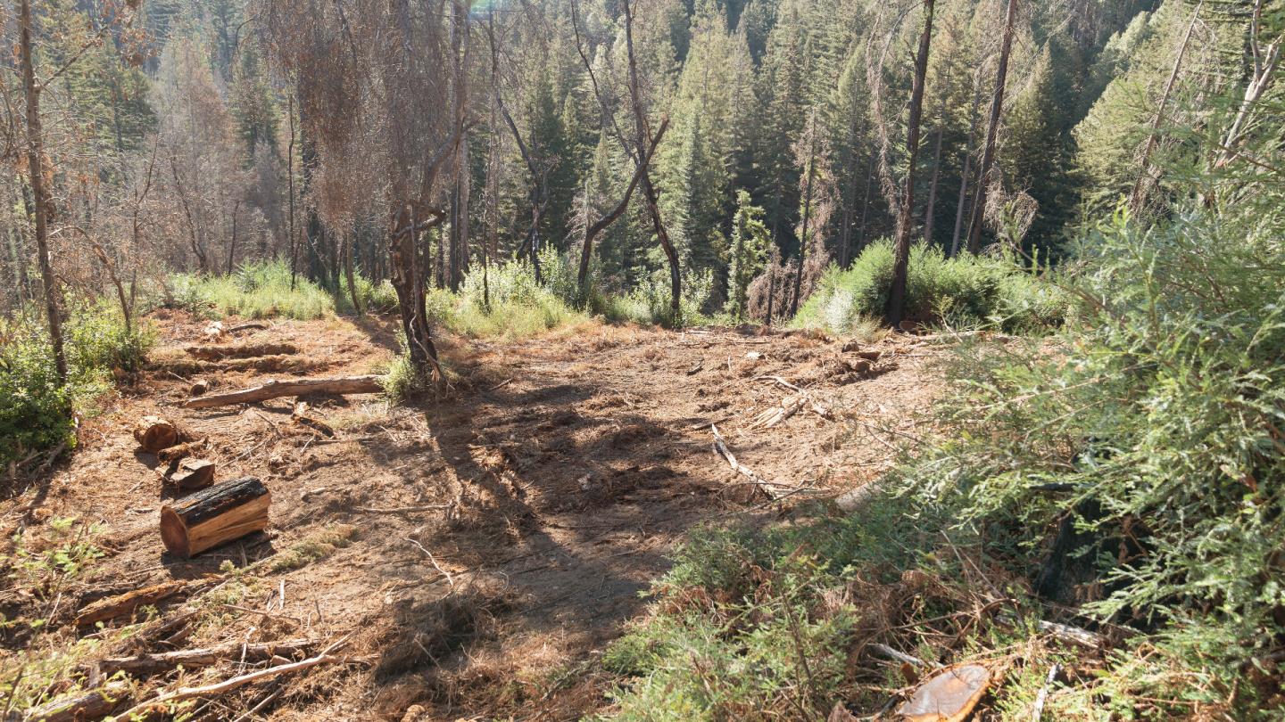 Detail Gallery Image 24 of 25 For Lot 06 Branson Ranch Rd, Boulder Creek,  CA 95006 - – Beds | – Baths