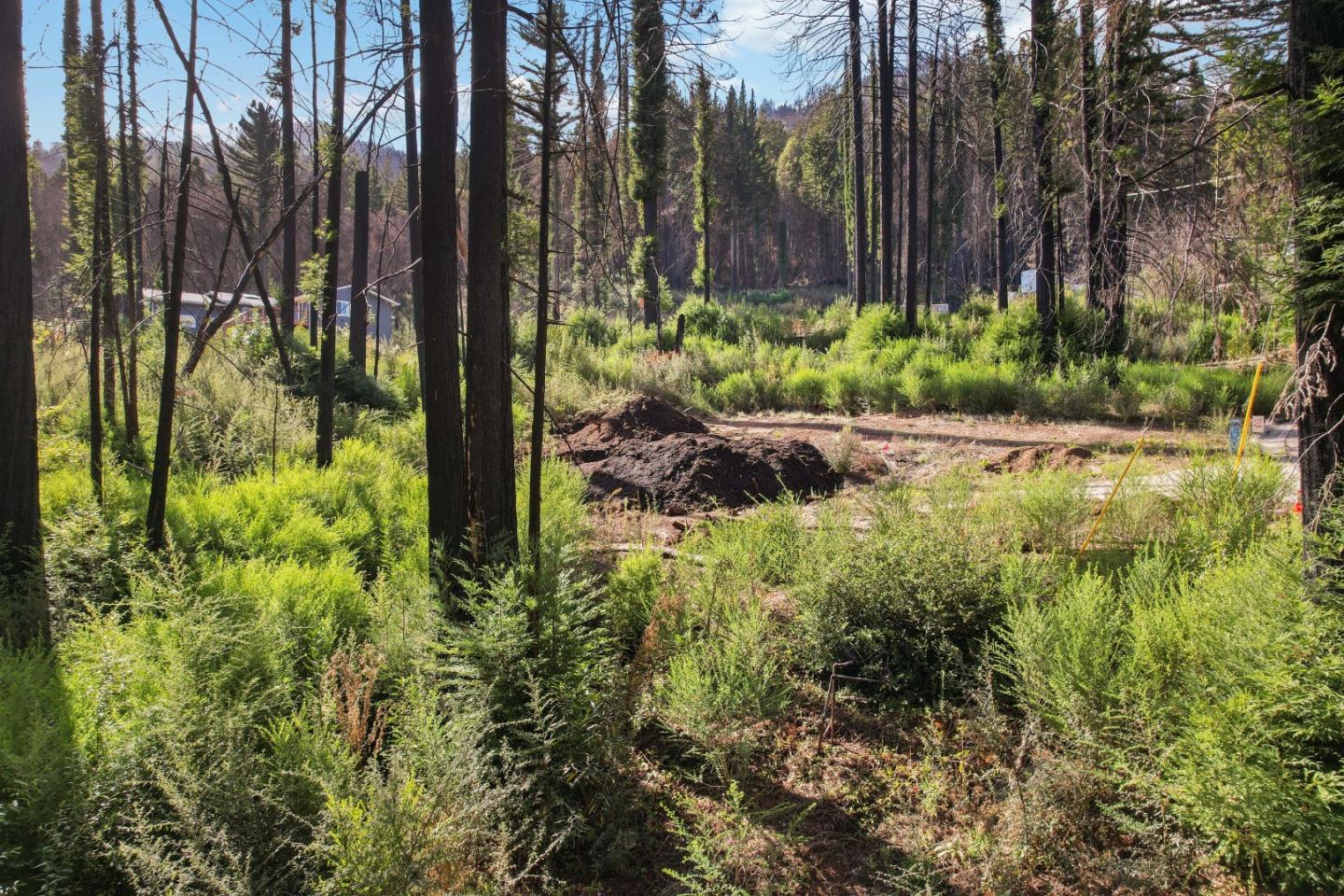 Detail Gallery Image 19 of 35 For 125 Fallen Leaf Dr, Boulder Creek,  CA 95006 - – Beds | – Baths