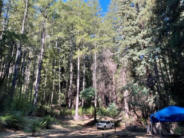 Detail Gallery Image 7 of 11 For 01 Felton Empire Rd, Felton,  CA 95018 - – Beds | – Baths