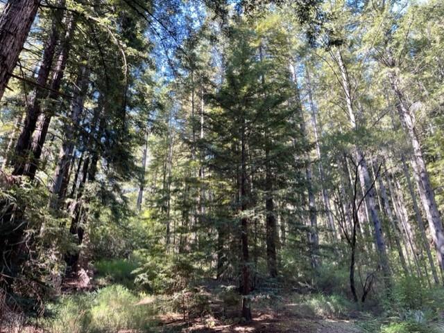 Detail Gallery Image 8 of 11 For 01 Felton Empire Rd, Felton,  CA 95018 - – Beds | – Baths