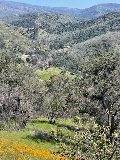 Detail Gallery Image 19 of 19 For 20803 Cachagua Rd, Carmel Valley,  CA 93924 - – Beds | – Baths