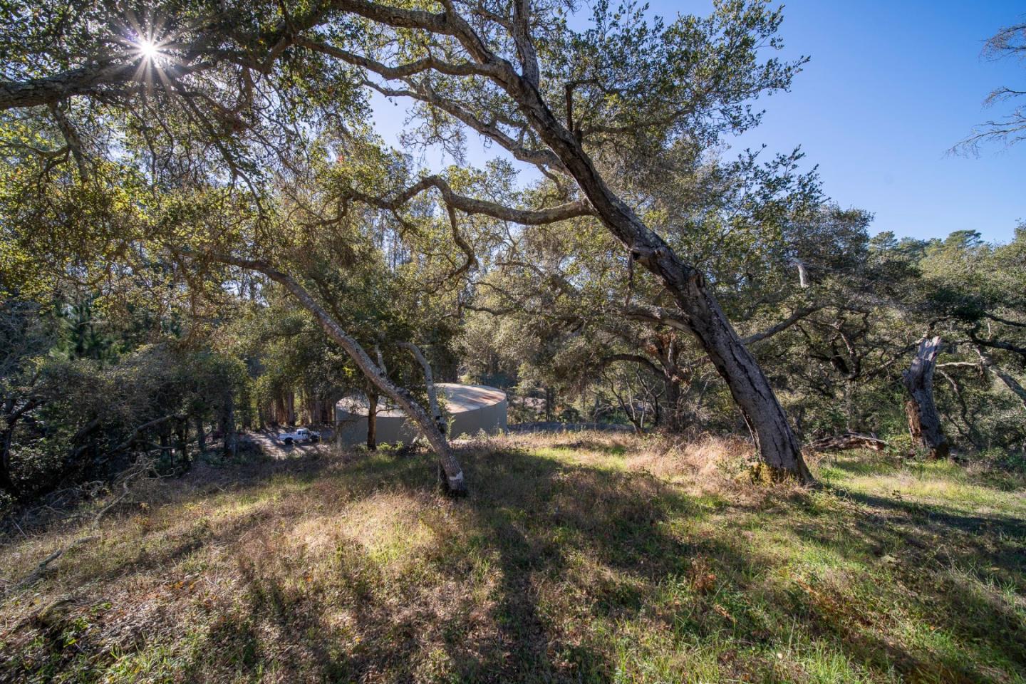 Detail Gallery Image 14 of 21 For 1865 Day Valley Rd, Aptos,  CA 95003 - – Beds | – Baths