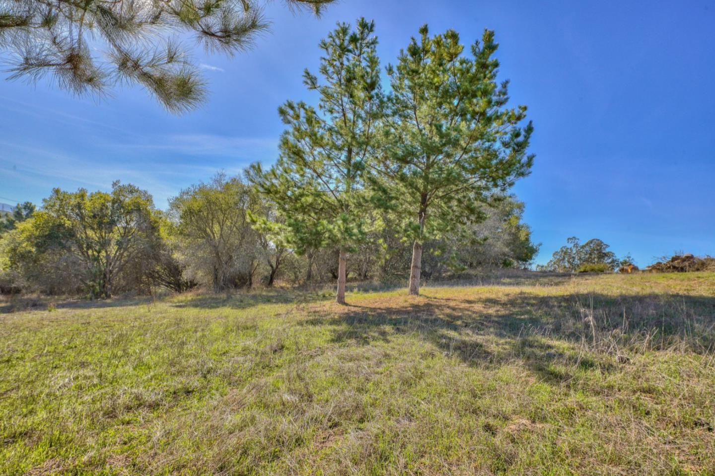 Detail Gallery Image 9 of 10 For 8571 Donnys Ridge Rd, Salinas,  CA 93907 - – Beds | – Baths