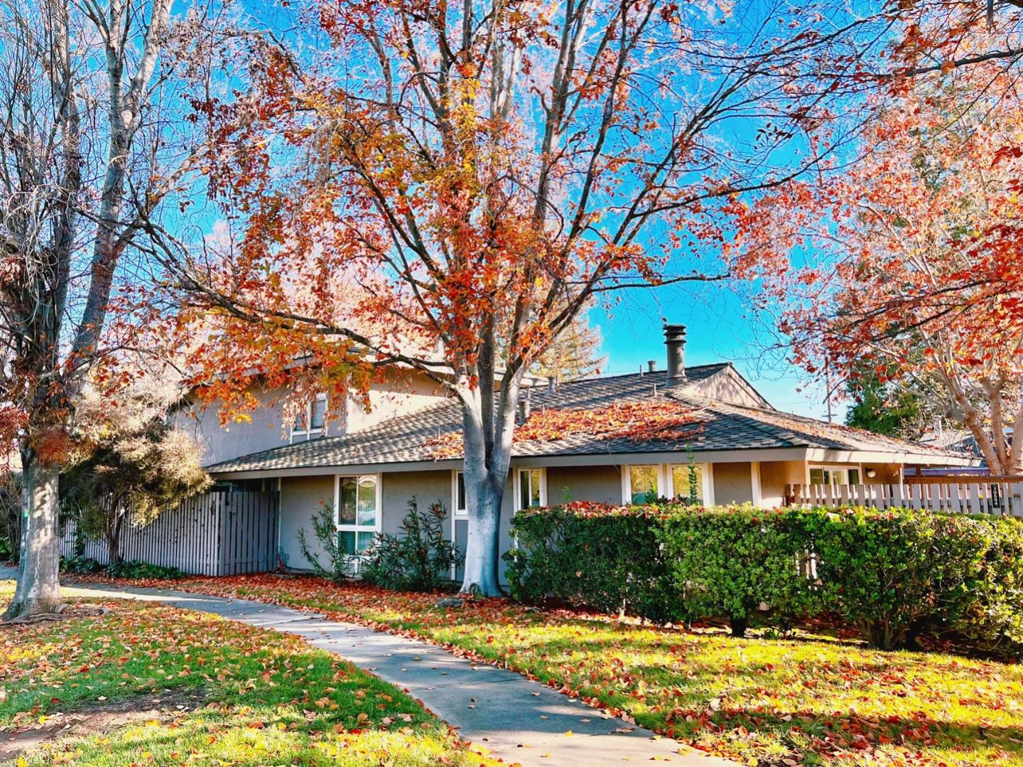 Detail Gallery Image 1 of 1 For 10594 White Fir Ct, Cupertino,  CA 95014 - 3 Beds | 2 Baths