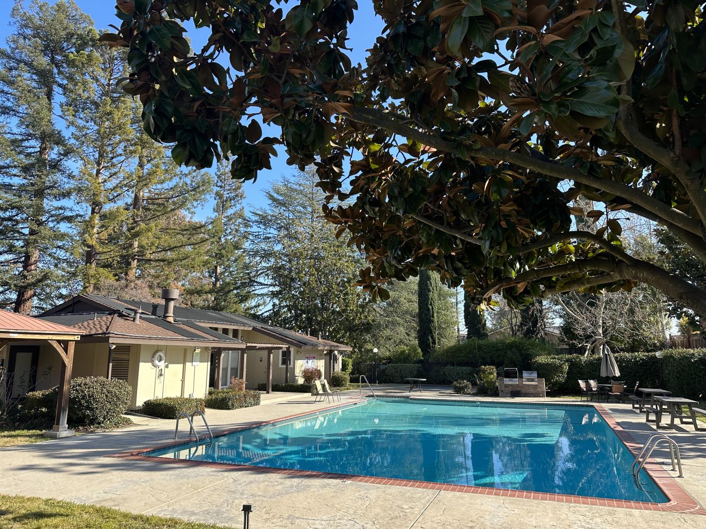 Detail Gallery Image 5 of 50 For Address Not Disclosed, Campbell,  CA 95008 - 3 Beds | 1/1 Baths