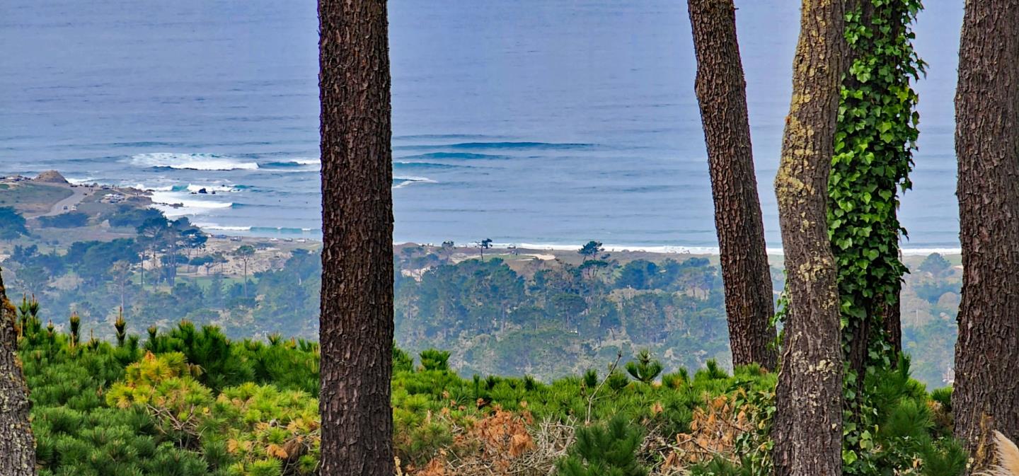 15 Ocean Pines LN, PEBBLE BEACH, CA 93953