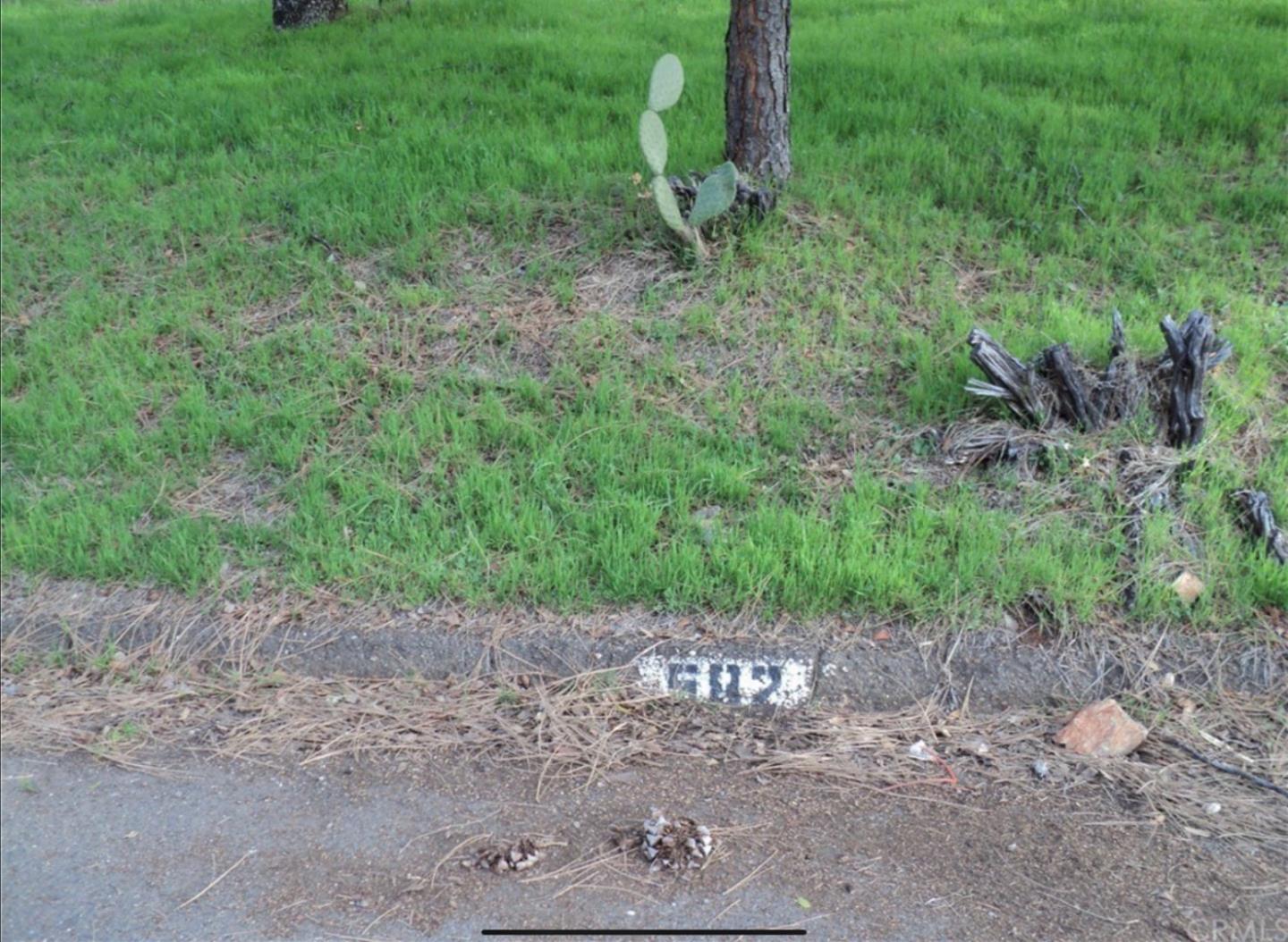 Photo of 582 Silver Leaf Dr in Oroville, CA