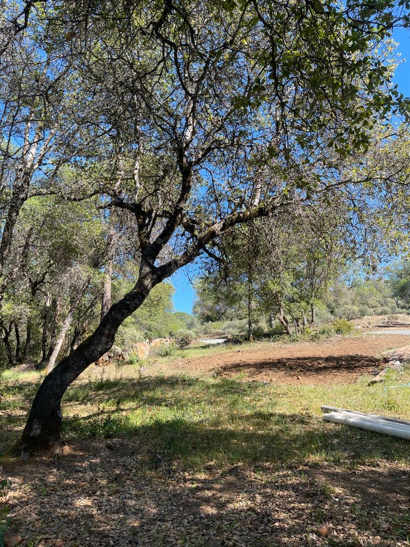 Photo of 11550 Rex Reservoir in Grass Valley, CA