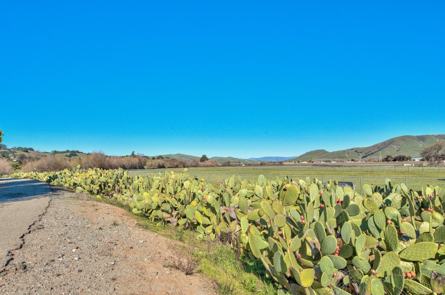 Detail Gallery Image 67 of 80 For 535 Anzar Rd, San Juan Bautista,  CA 95045 - 3 Beds | 4 Baths