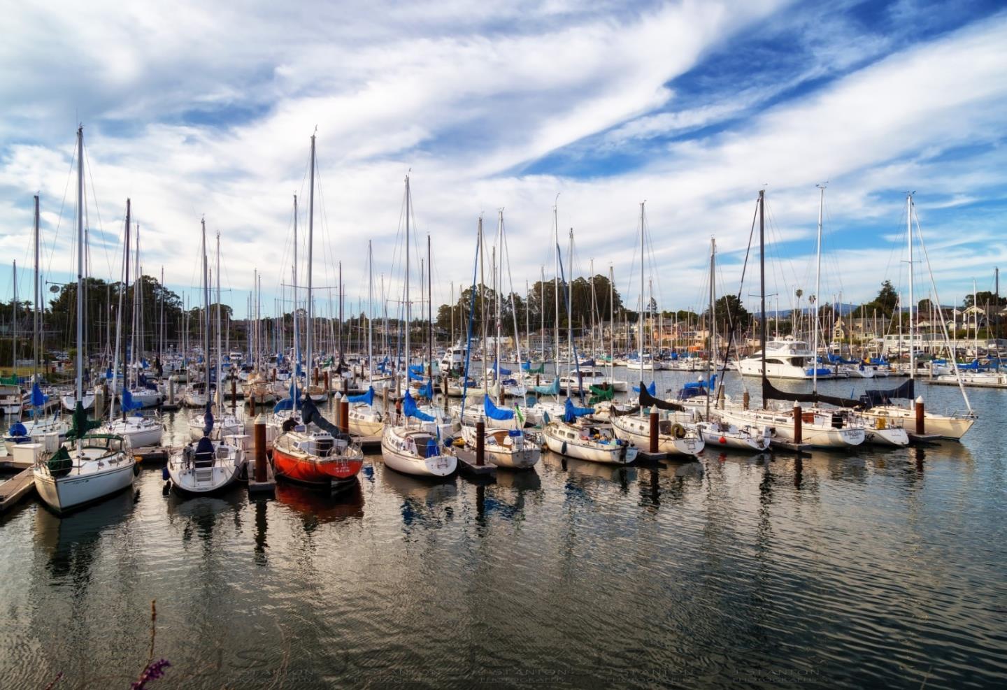 Detail Gallery Image 7 of 30 For 151 Marine Parade, Santa Cruz,  CA 95062 - – Beds | – Baths