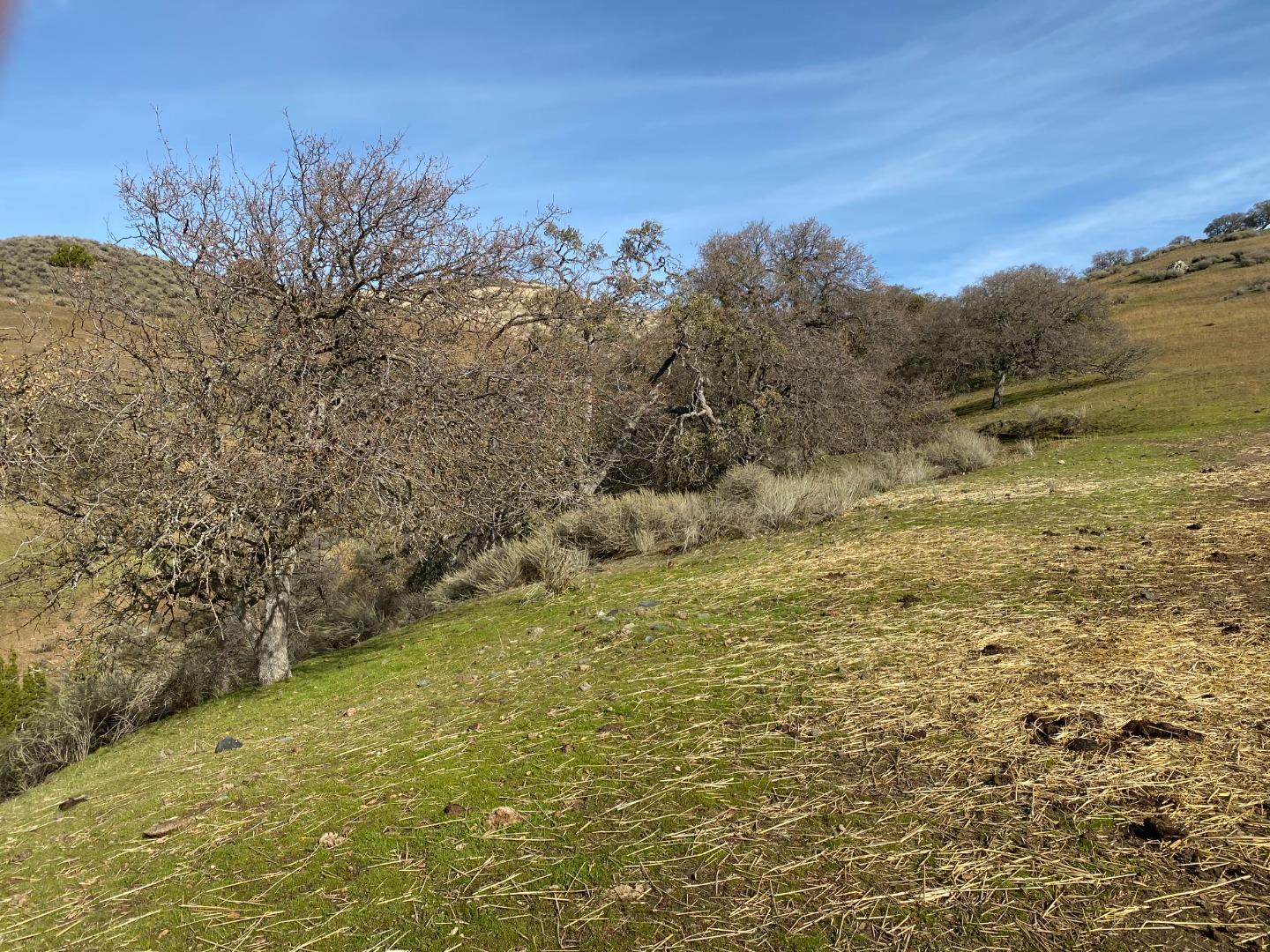 Photo of 19967 Panoche Rd in Paicines, CA