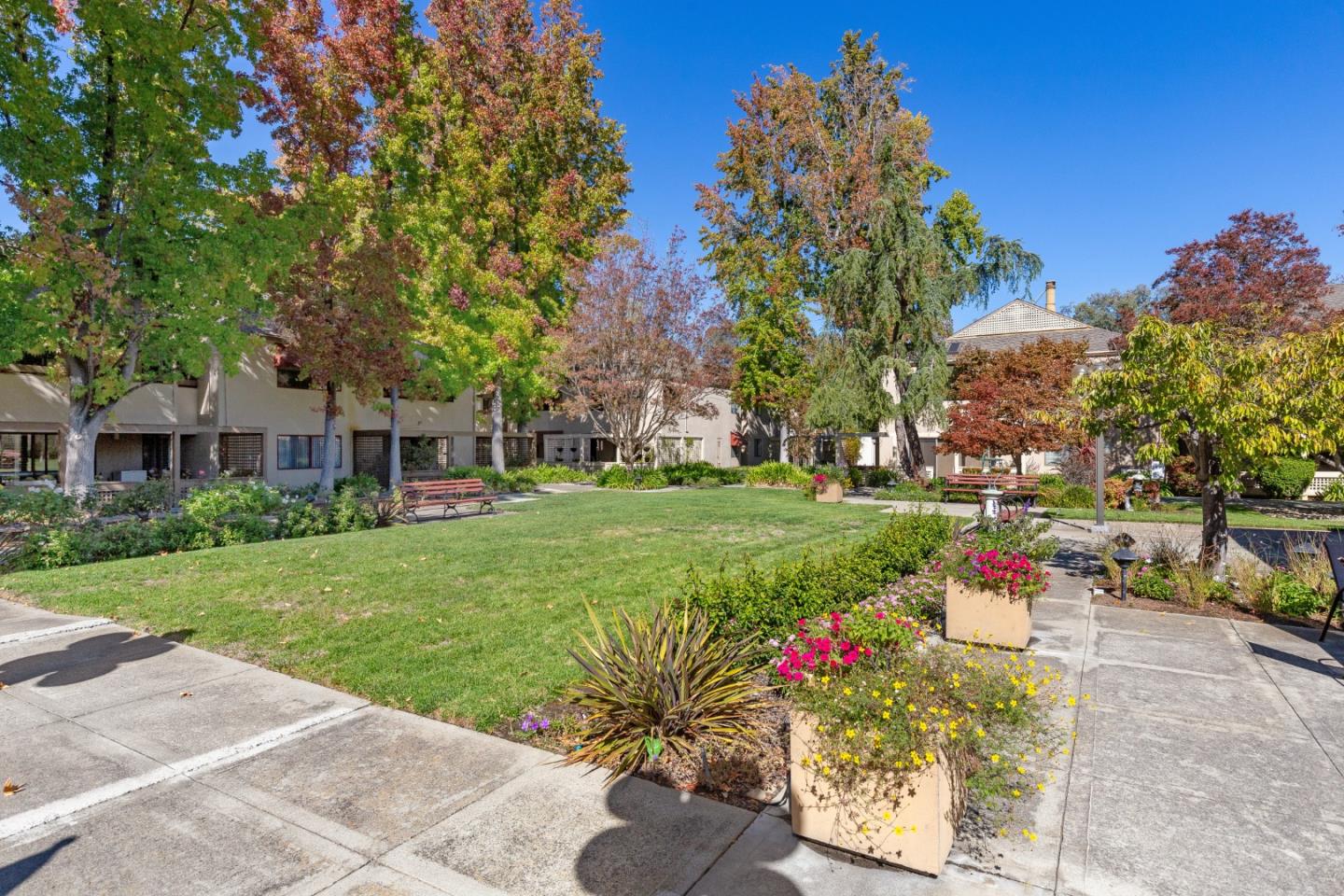 Detail Gallery Image 1 of 1 For 443 Alberto Way #B219,  Los Gatos,  CA 95032 - 1 Beds | 1 Baths