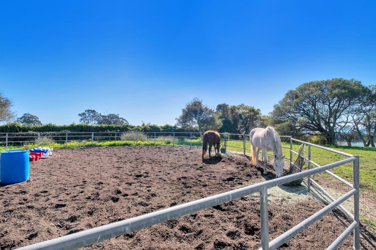 Detail Gallery Image 51 of 68 For 550 Water Tank Rd, Watsonville,  CA 95076 - 3 Beds | 3 Baths