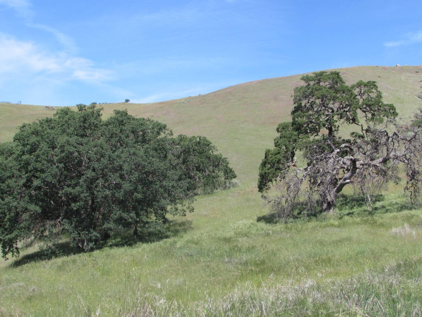 Detail Gallery Image 1 of 1 For 20357 Panoche Rd, Paicines,  CA 95043 - – Beds | – Baths