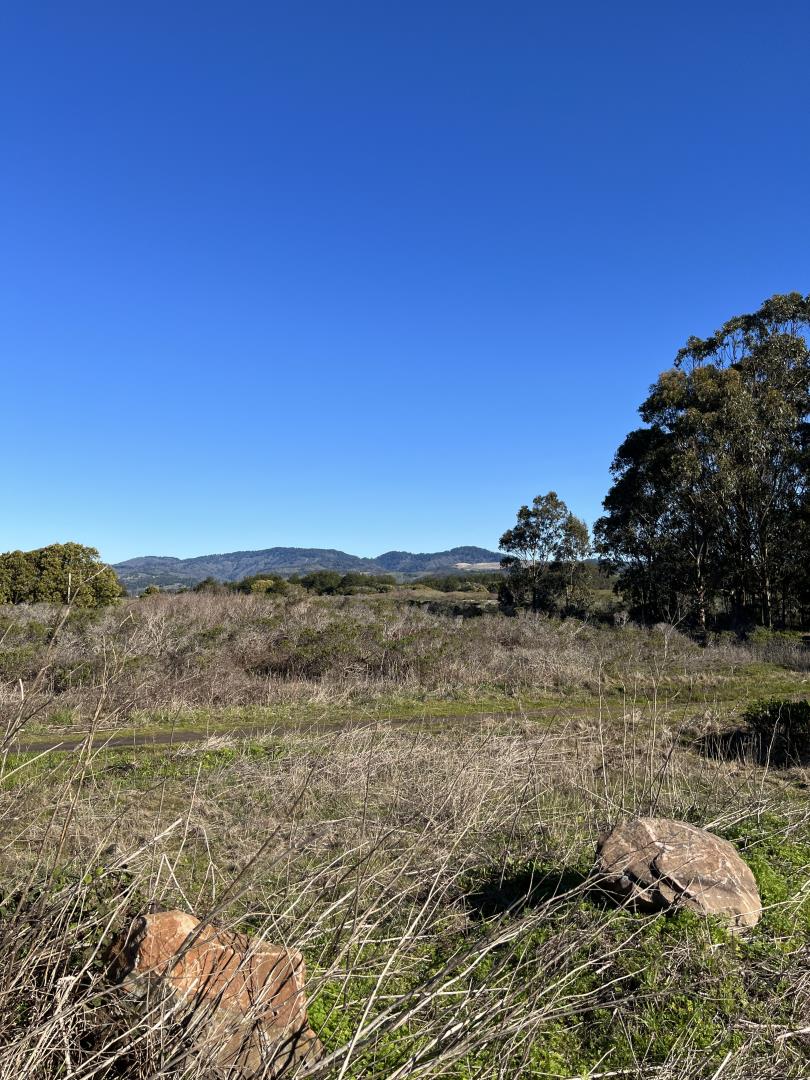 Detail Gallery Image 1 of 1 For 000 Rose Ave, Half Moon Bay,  CA 94019 - – Beds | – Baths