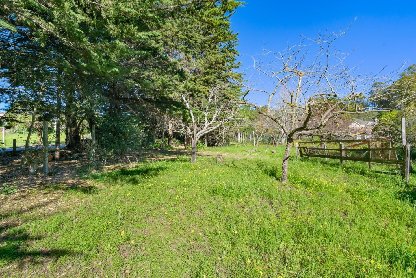 Detail Gallery Image 8 of 25 For 540 Meder St, Santa Cruz,  CA 95060 - 3 Beds | 2 Baths
