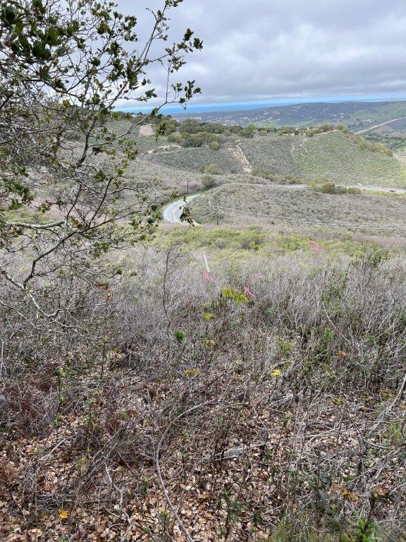 Detail Gallery Image 1 of 1 For 0 Vacant Land, Carmel Valley,  CA 93924 - – Beds | – Baths