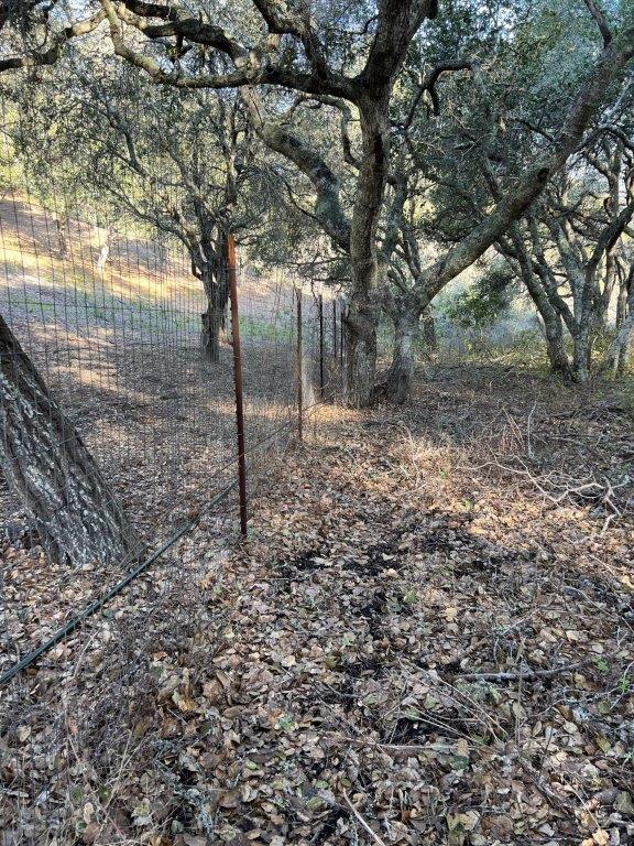 0 Vacant Land, Carmel Valley, CA 93924 Beds Baths (Active