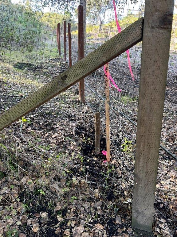 0 Vacant Land, Carmel Valley, CA 93924 Beds Baths (Active