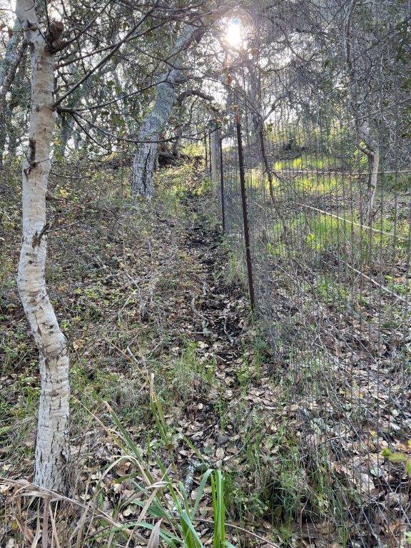 0 Vacant Land, Carmel Valley, CA 93924 Beds Baths (Active