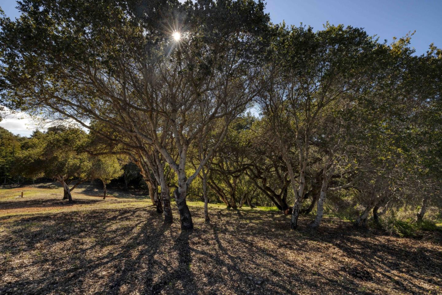 Detail Gallery Image 1 of 7 For 285 El Caminito Rd, Carmel Valley,  CA 93924 - – Beds | – Baths