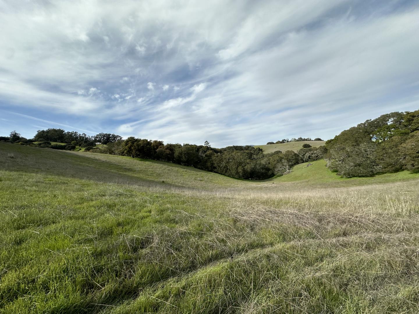 Detail Gallery Image 42 of 48 For 0 Ca-129, San Juan Bautista,  CA 95045 - – Beds | – Baths
