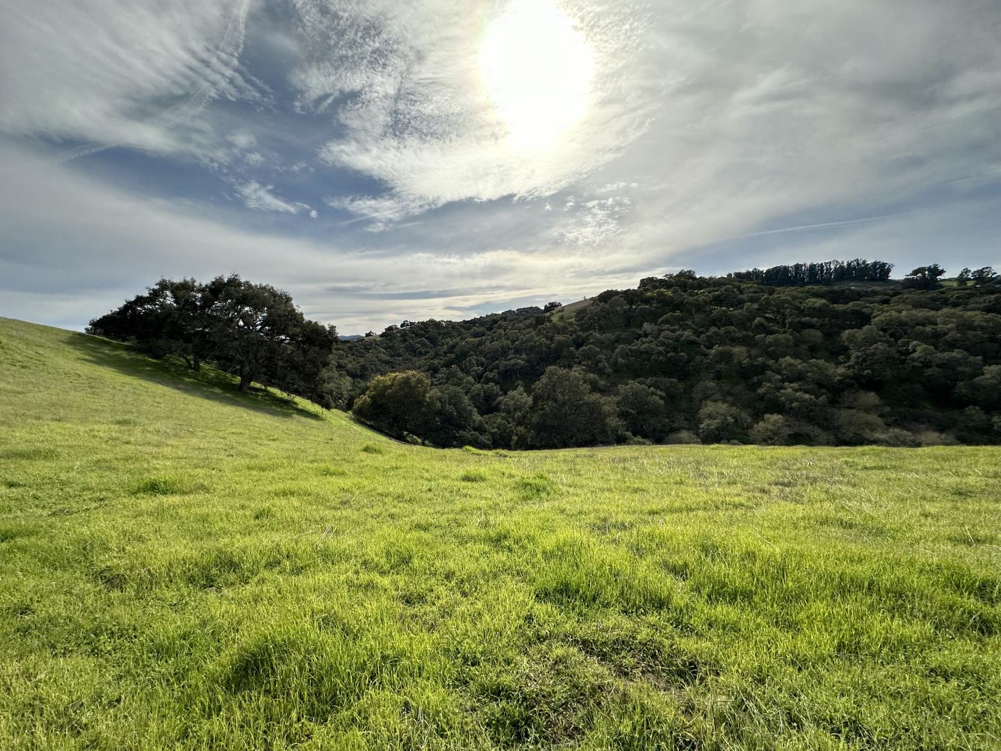 Detail Gallery Image 5 of 48 For 0 Ca-129, San Juan Bautista,  CA 95045 - – Beds | – Baths