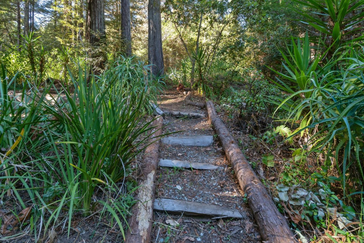 Detail Gallery Image 39 of 46 For 6121 Fern Flat Rd, Aptos,  CA 95003 - – Beds | – Baths