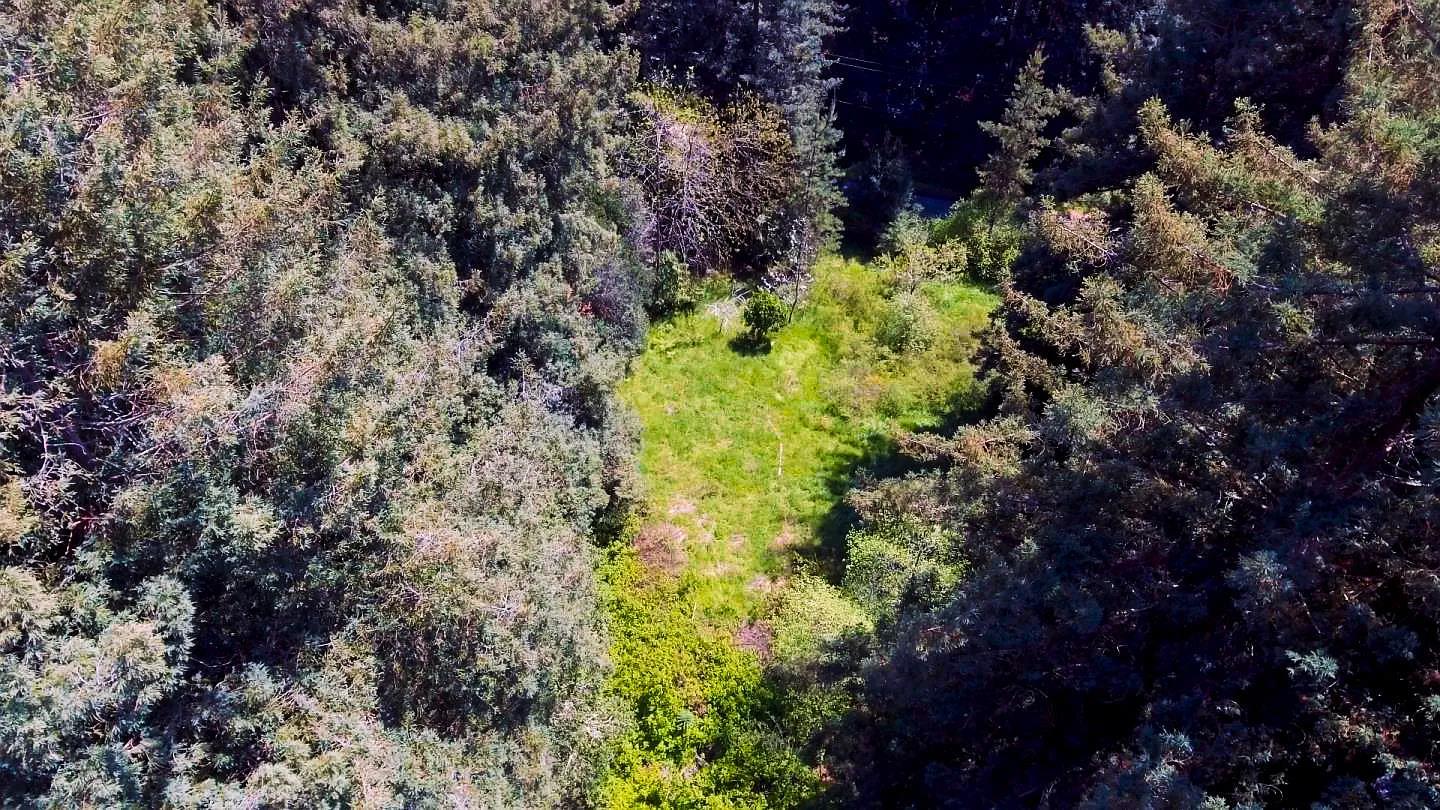Detail Gallery Image 44 of 46 For 6121 Fern Flat Rd, Aptos,  CA 95003 - – Beds | – Baths